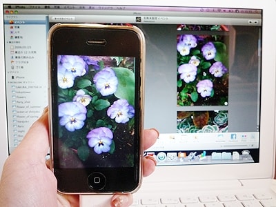 iPhoneで撮影した写真をMacBookに取り込むことも簡単です