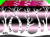 神経に沿って発症します!