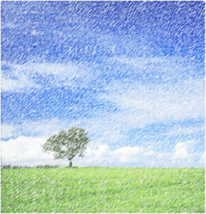 写真に「線画」のアート効果を付けた図