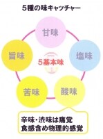 甘味,塩味,酸味,苦味,旨味が基本味