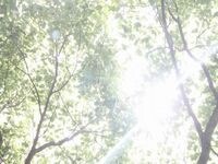 酸素と紫外線