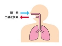 呼吸