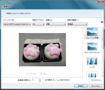 印刷設定画面