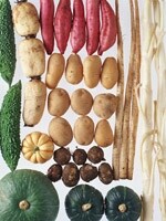 食物繊維は意識して摂りたい栄養素