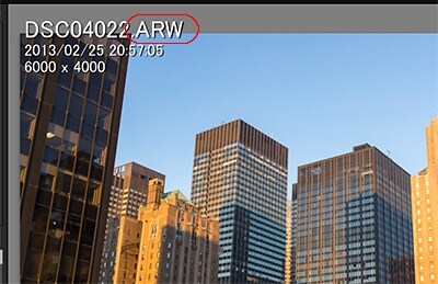 Lightroom 5で開いた、拡張子が「.ARW」形式(SONYのカメラの)Raw画像。