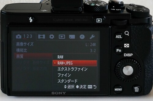 デジタルカメラ設定画面。Rawのみ、Raw+JPEG、JPEGのみの3通りが選べる例。