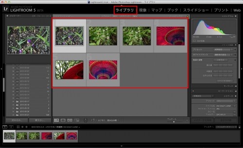 Lightroomの「ライブラリ」に、今回読み込まれた画像の一覧が表示される。