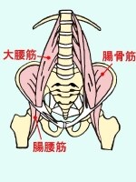 腸腰筋