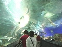 トンネルの中には動く歩道が設置されています