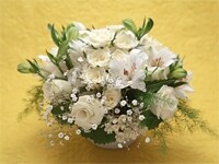 供花を贈るときは、まず遺族へ相談します。宗旨・宗派によって規制がある場合もありますし、地域によっても考え方が異なります。