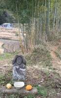 清澄の里undefined粟,農家レストラン,大和伝統野菜,地域づくり,地域創生,生き方,健康