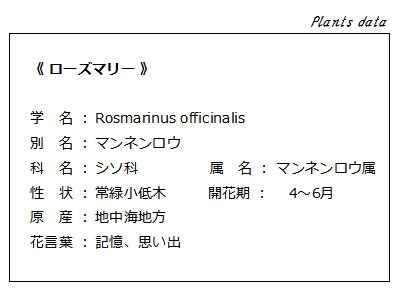 ローズマリーのデータ