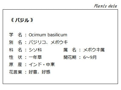 バジルのデータ