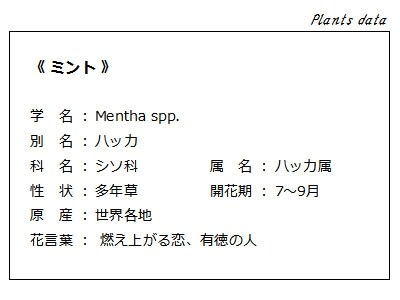 ミントのデータ