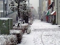 雪の被害が多発!火災保険の内容をもう一度確認しよう