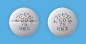 ナフトピジルOD錠75mg「日医工」