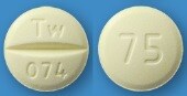ナフトピジル錠75mg「トーワ」