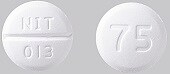 ナフトピジルOD錠75mg「ニットー」