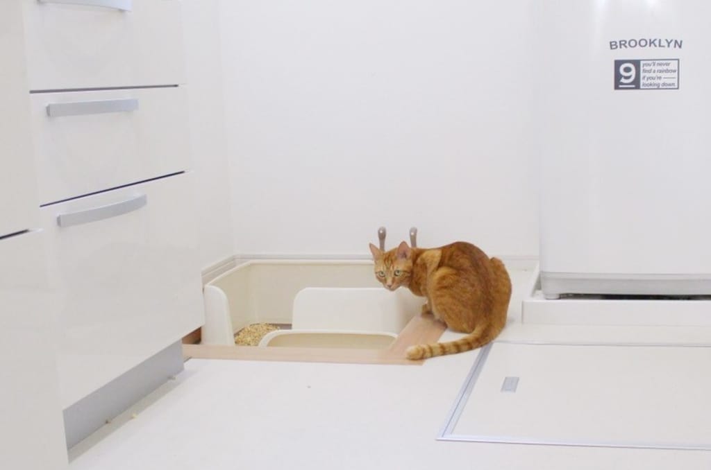 大型猫でも快適に！ありそうでなかったシステムトイレ
