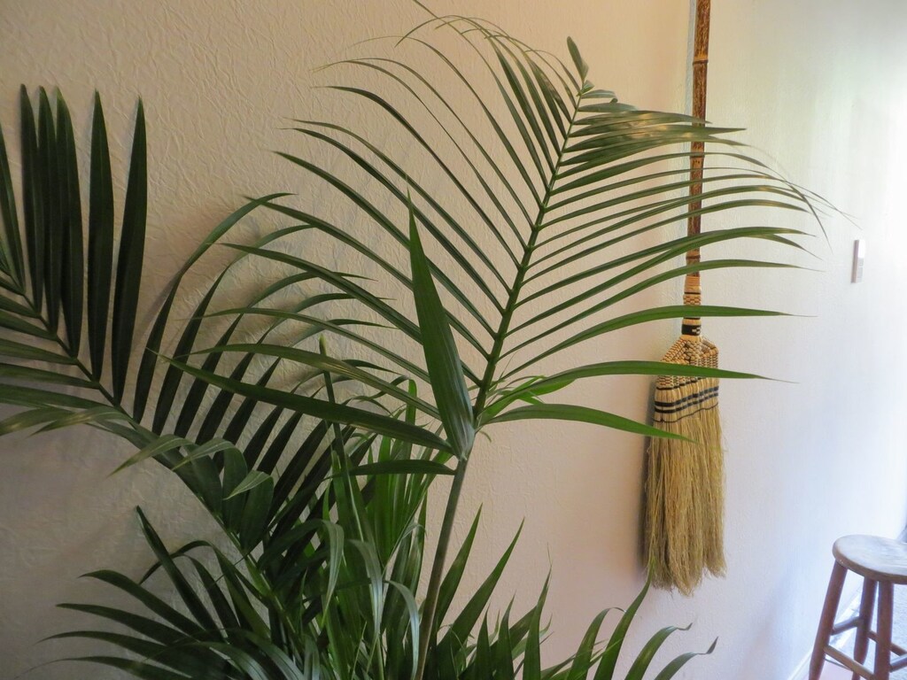 出しっぱなしでも美しい！ ホコリが立ちにくい「中津箒」でお掃除