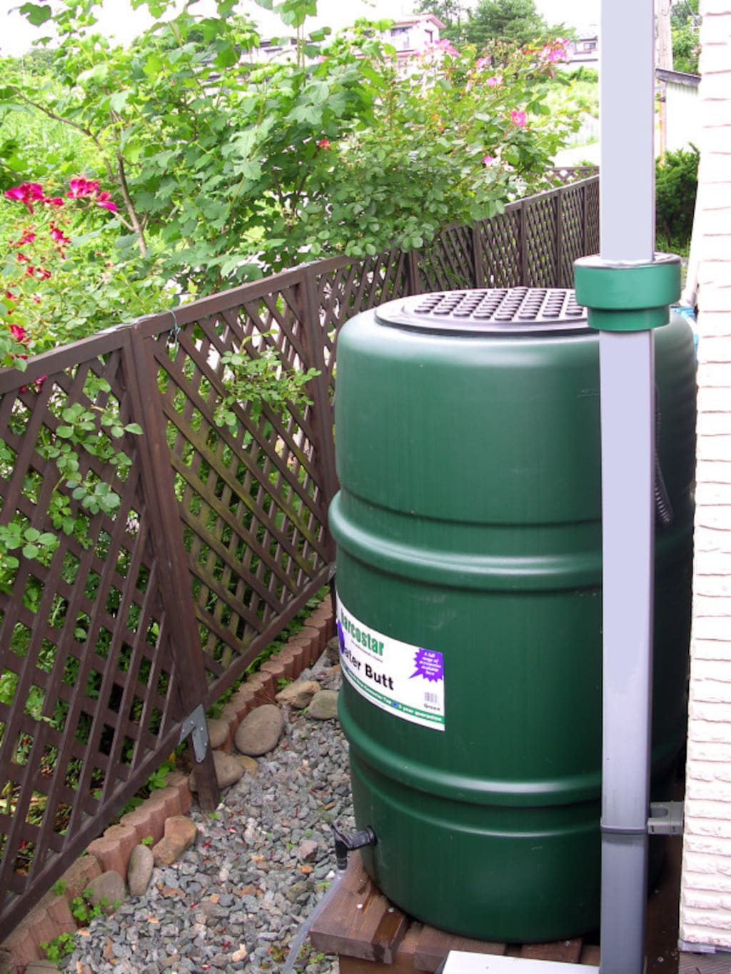 植物を育てるだけじゃない！イギリス製雨水タンクがガーデニングにおすすめの理由