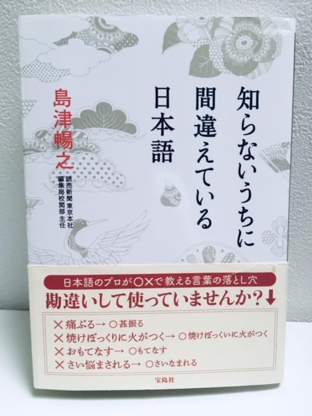 一大人として恥ずかしい⁉間違った日本語を楽しく知る本
