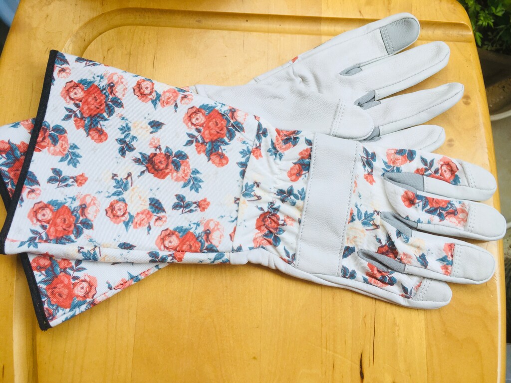 ガーデニング用グローブ「ロングカフ」でおうち時間を楽しく過ごす！