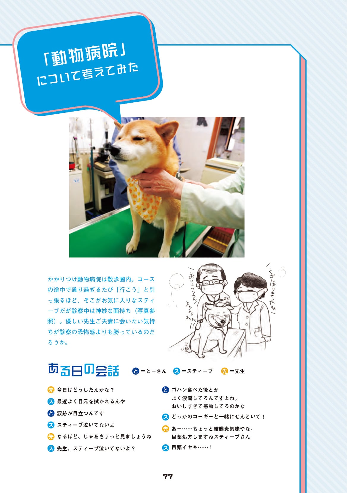 画像出典：『柴犬スティーブ白書』（辰巳出版）
