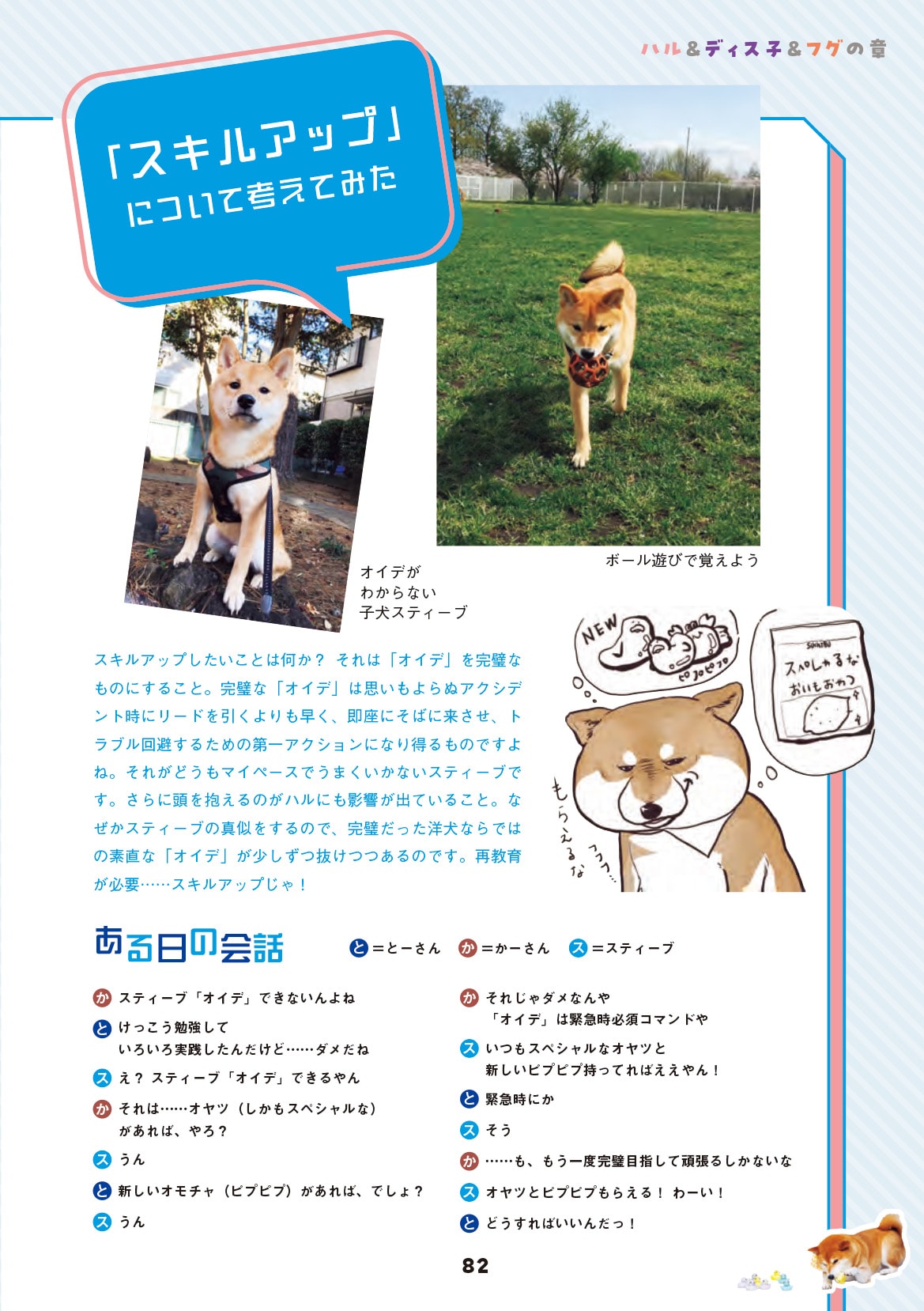 画像出典：『柴犬スティーブ白書』（辰巳出版）