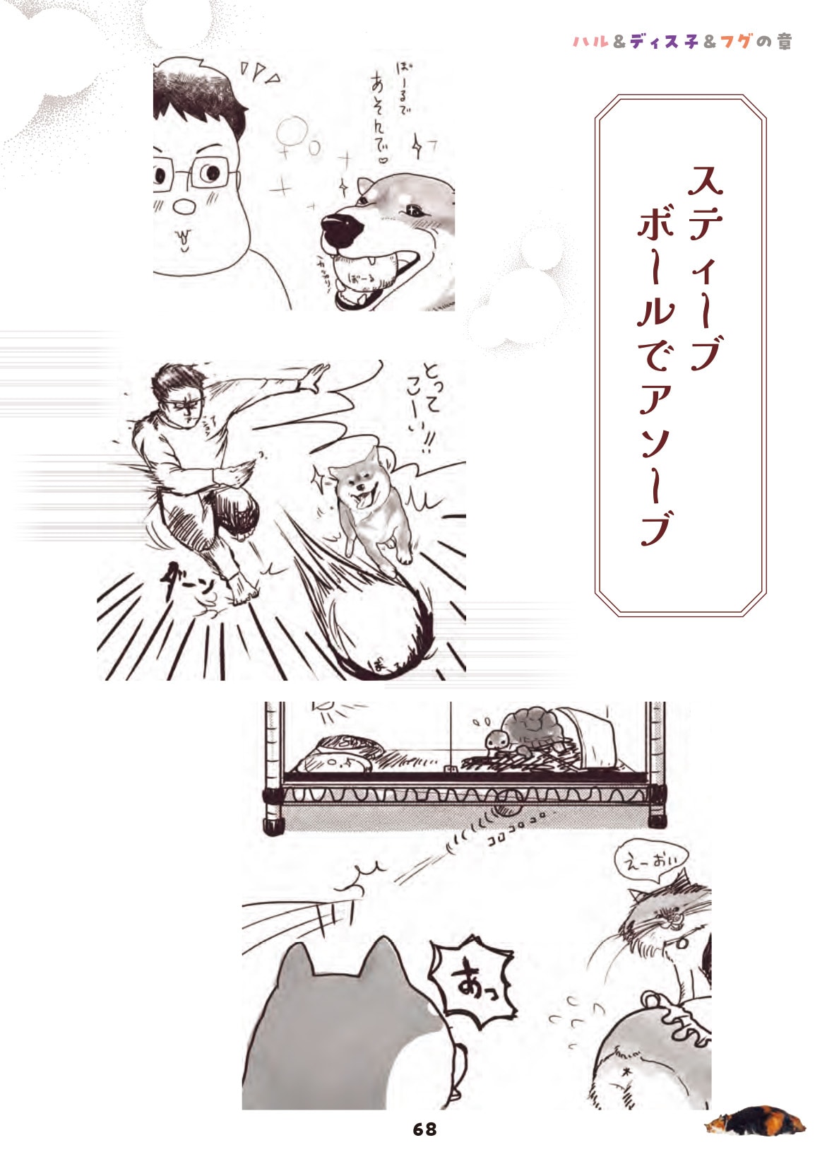 画像出典：『柴犬スティーブ白書』（辰巳出版）