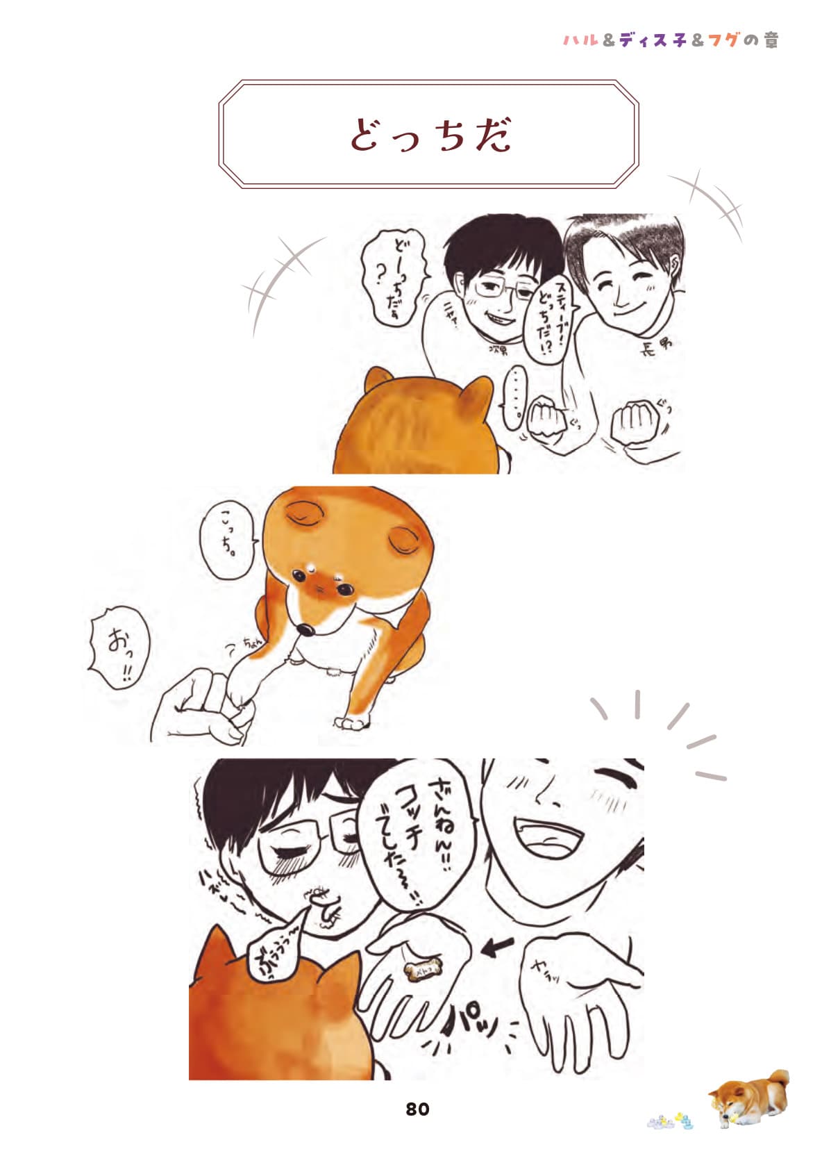 画像出典：『柴犬スティーブ白書』（辰巳出版）