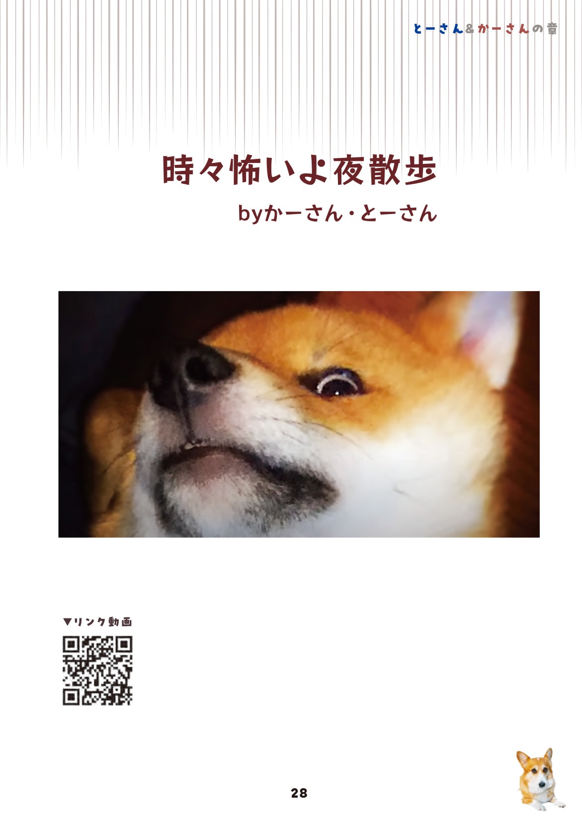 画像出典：『柴犬スティーブ白書』（辰巳出版）