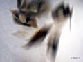 自己破産なんかで、あなたの人生終わらない