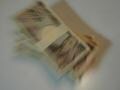 借金を増やすコツを覚えてはいけない