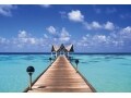 海外旅行保険は治療費用や救援者費用がポイント