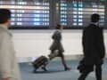 どうなる!?ＪＡＬの企業年金