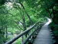 中軽井沢