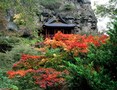 小諸