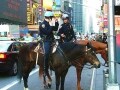 ニューヨークの治安