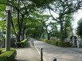 墓マイラー必見　有名人の眠る東京三大霊園