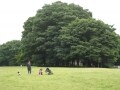 用賀、公園と緑に包まれた足回りの良い街