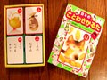 ことわざはかるたで覚える！　お正月はことわざかるたで遊ぼう