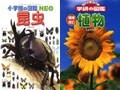 図鑑は、いつもで子どもの手の届く場所に！