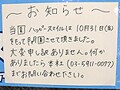 保育園が「倒産」した日