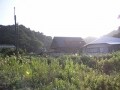 老人向け医療保険を選ぶポイント
