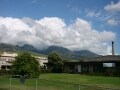 知っておきたい大学独自の奨学金、6つのタイプ