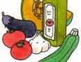 夏のマタニティ食は夏野菜をメインに