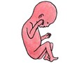 妊娠６ヶ月ってどんな時期？
