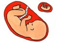 妊婦健診補助進む　出産育児一時金42万円へ