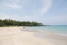 大人が助ける夏休みの「英語の自由研究」